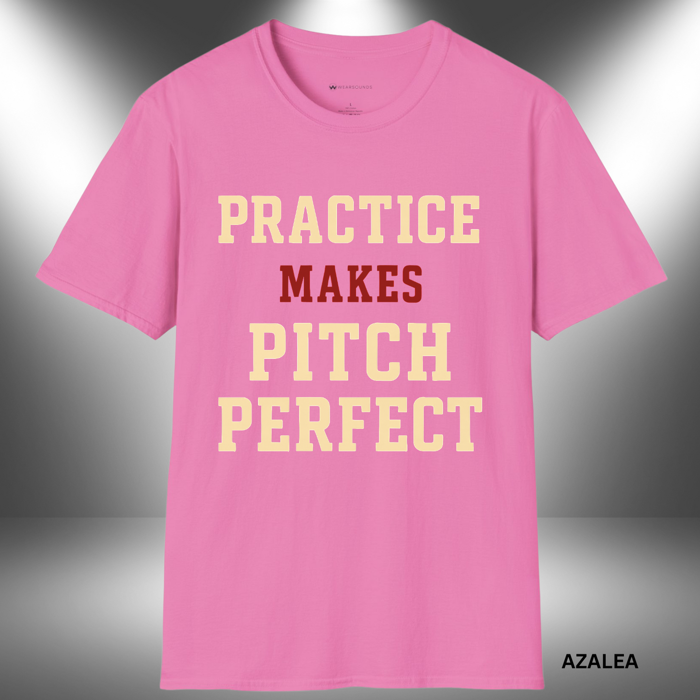 PRACTICE MAKES PITCH PERFECT | T-SHIRT - 6 colors - 9 sizes | Every scale, every take, every rep — it adds up. 🎶