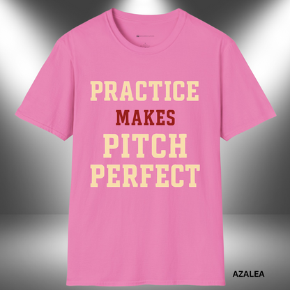 PRACTICE MAKES PITCH PERFECT     | T-SHIRT - 6 colors - 9 sizes | Every scale, every take, every rep — it adds up. 🎶